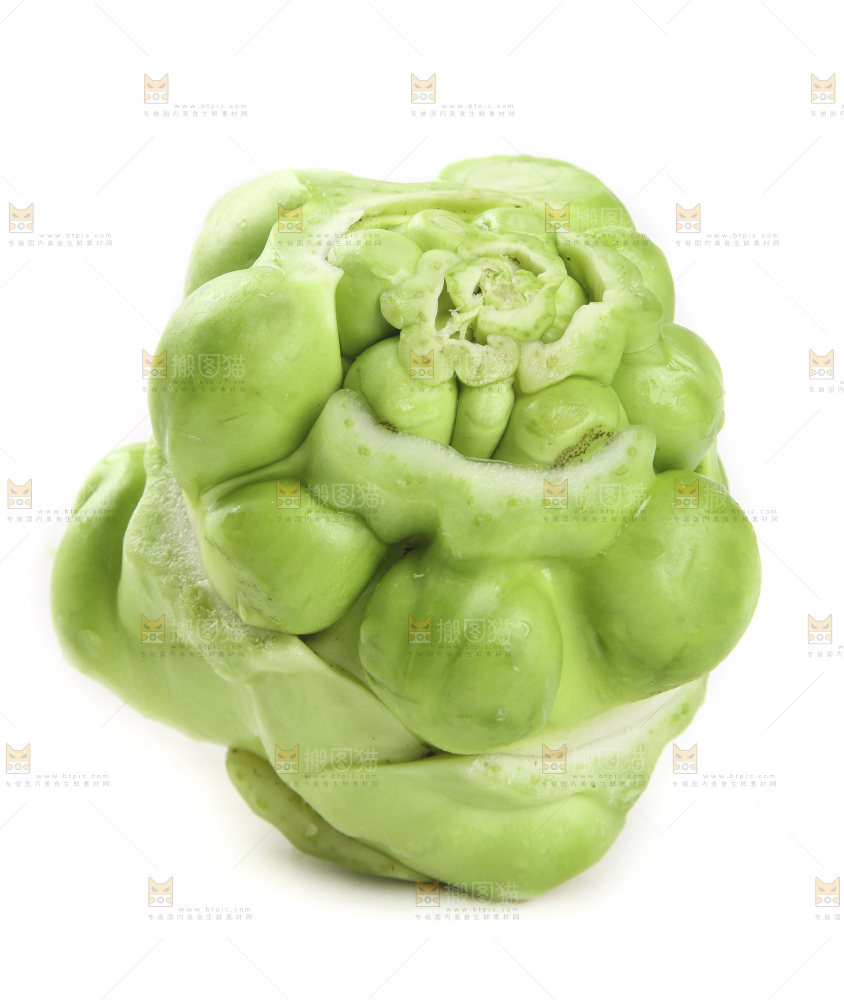 儿菜