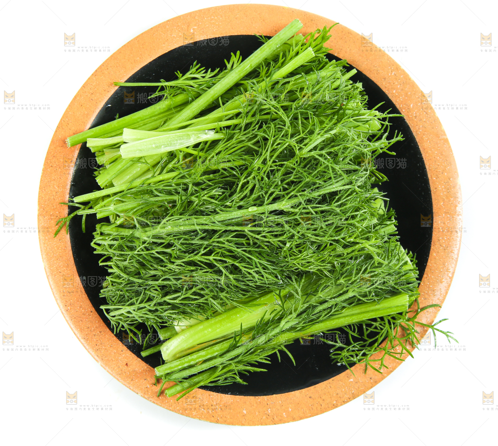 白底上放着小茴香