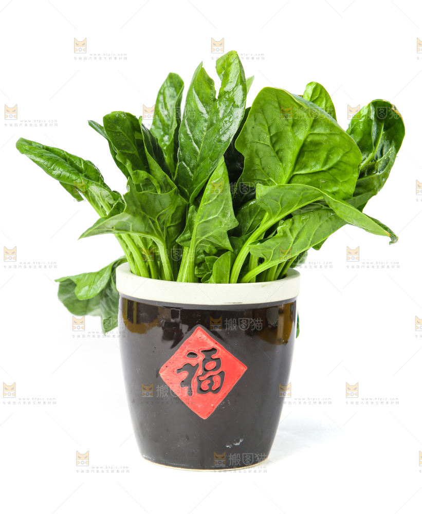 白底上放着菠菜