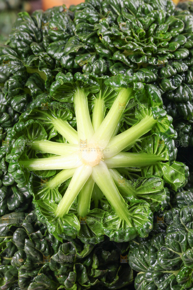 浅底上放着菊花菜
