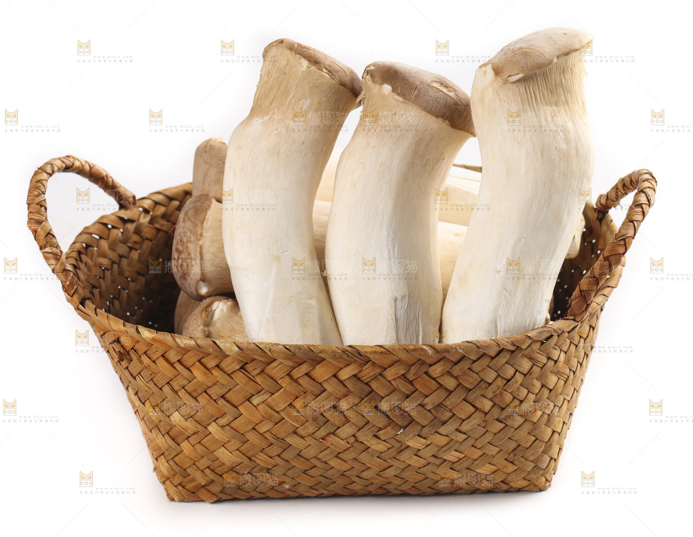 篮子里的菌菇