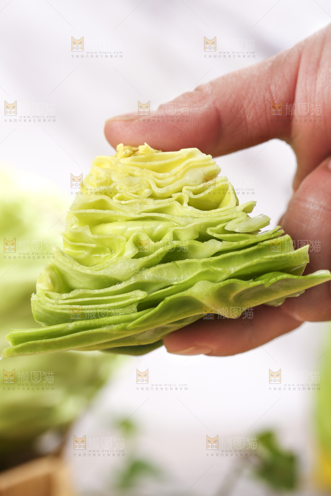 手里拿着洋白菜