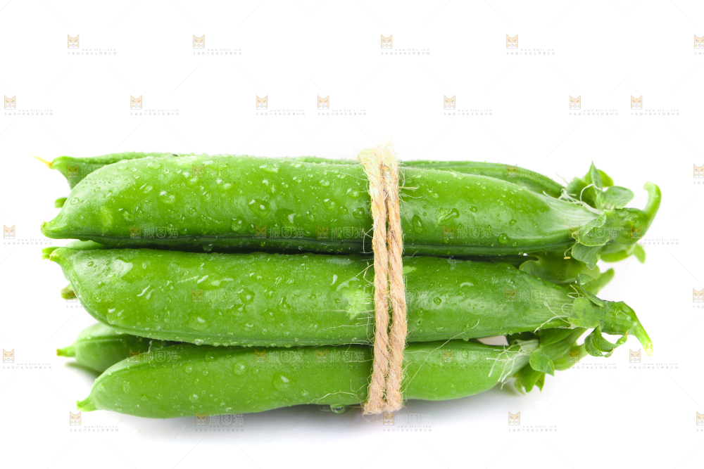 白底上放着一捆新鲜豌豆