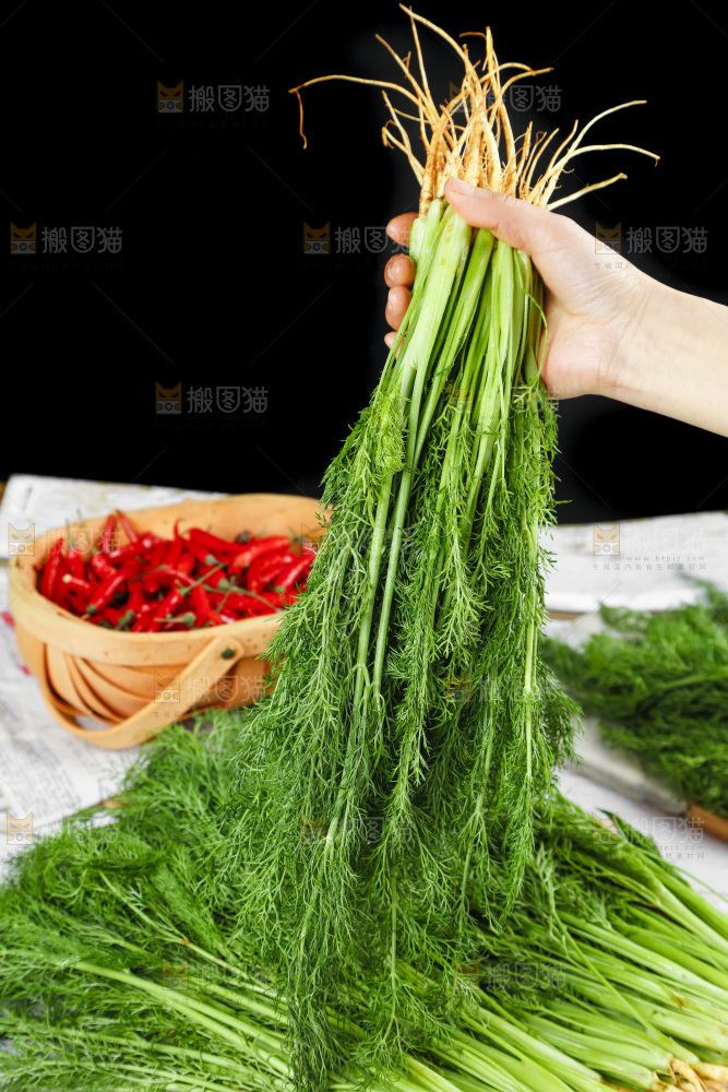 手里拿着小茴香