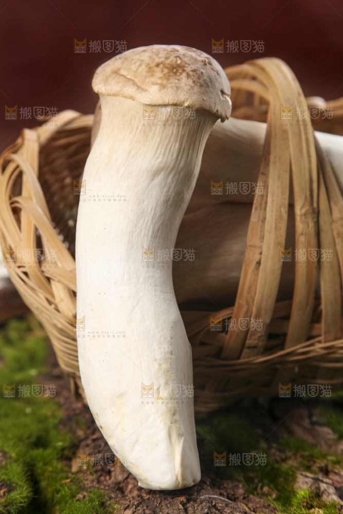 篮子里放着大鸡腿菇