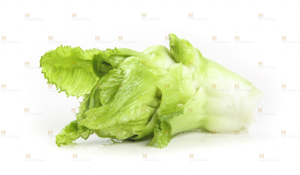 儿菜