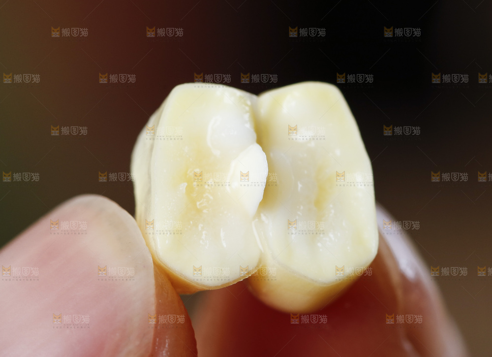 手拿花糯玉米粒