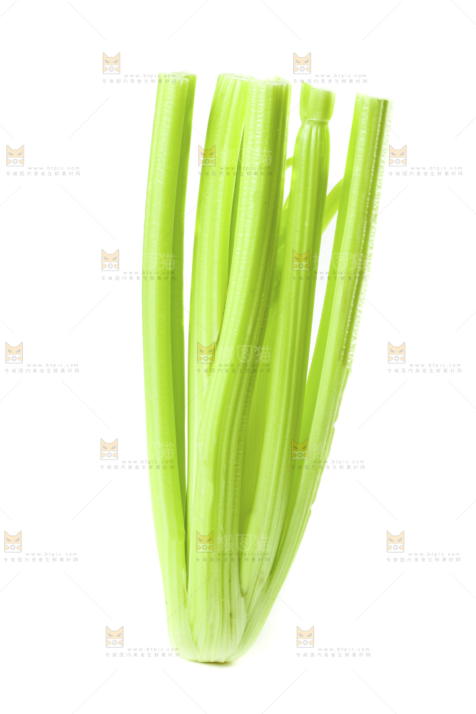 白底上放着西洋芹