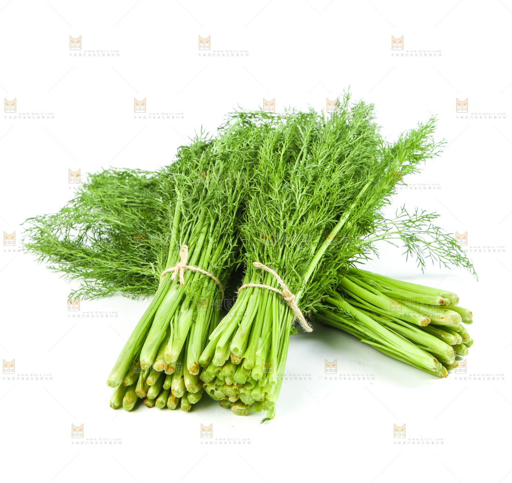 白底上放着小茴香