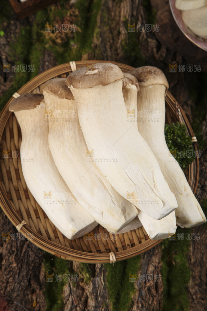 盘子上的农家杏鲍菇