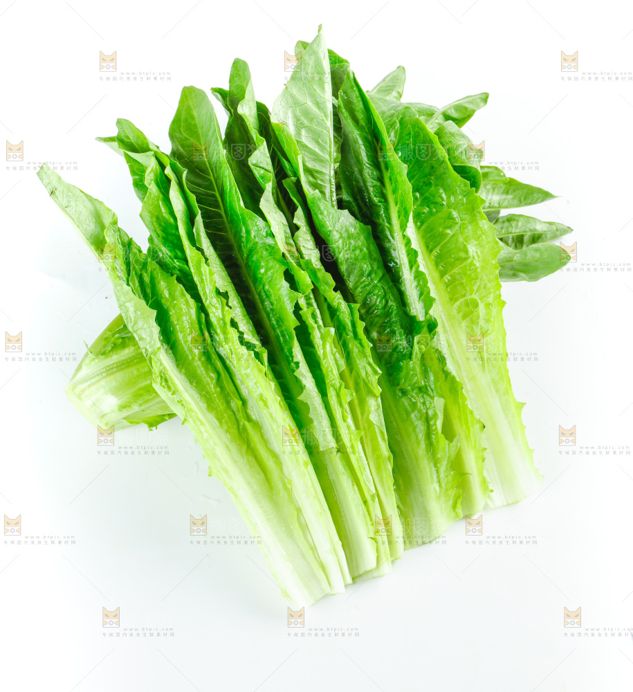 白底上放着油麦菜