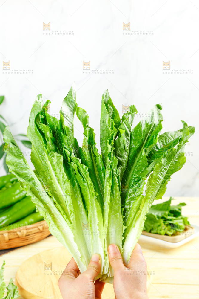 手里拿着米香油麦菜