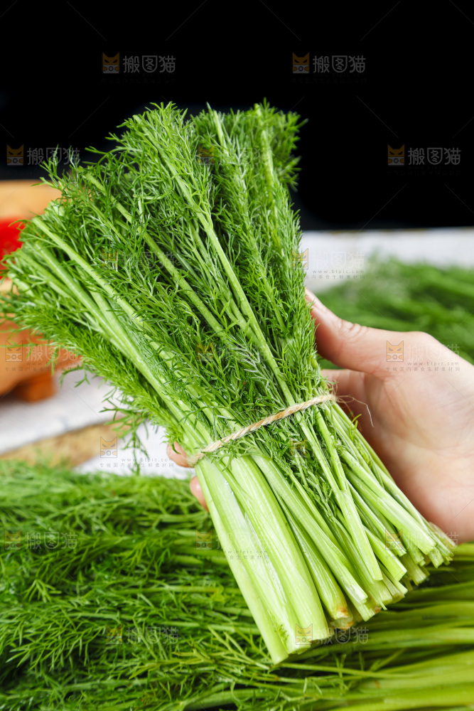 盘子里装着农家茴香菜