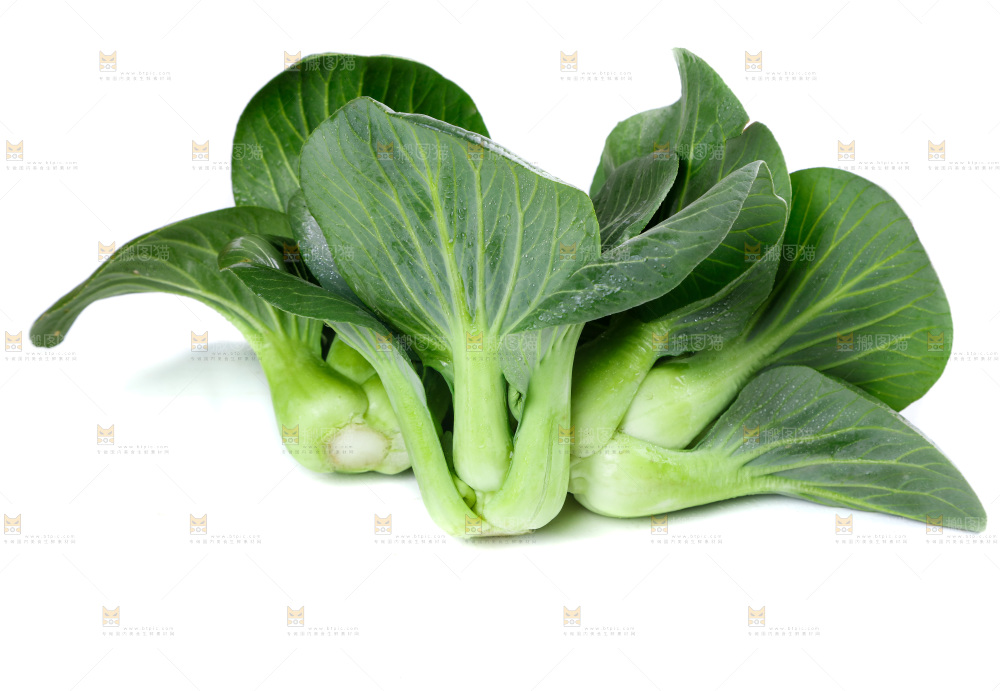 白底上放着青菜