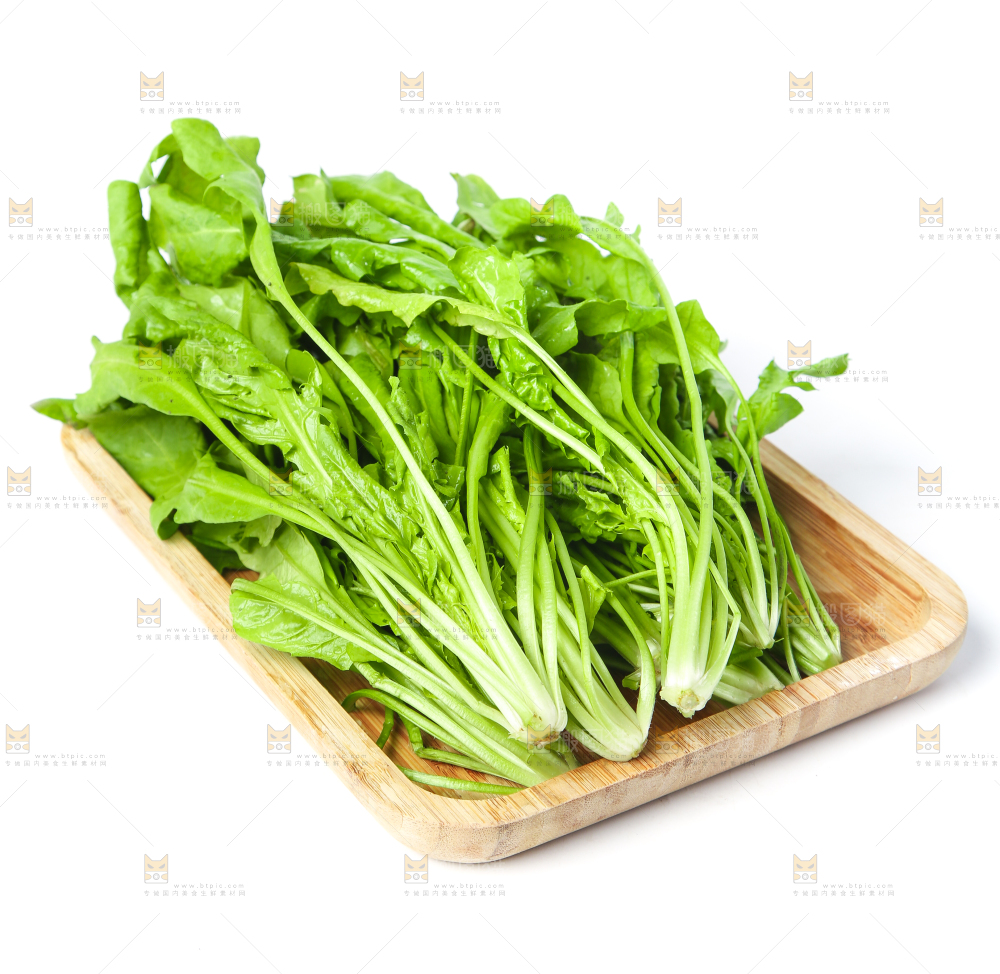 白底上的地菜