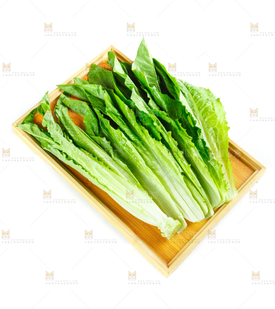 白底上放着油麦菜