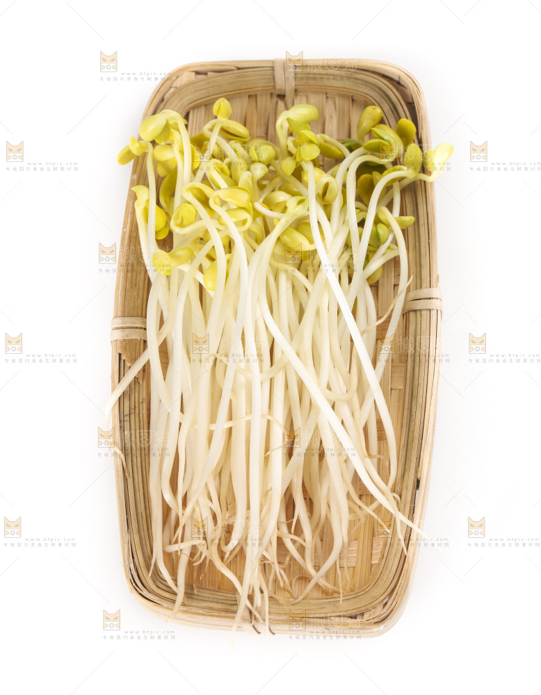 白底上的豆芽