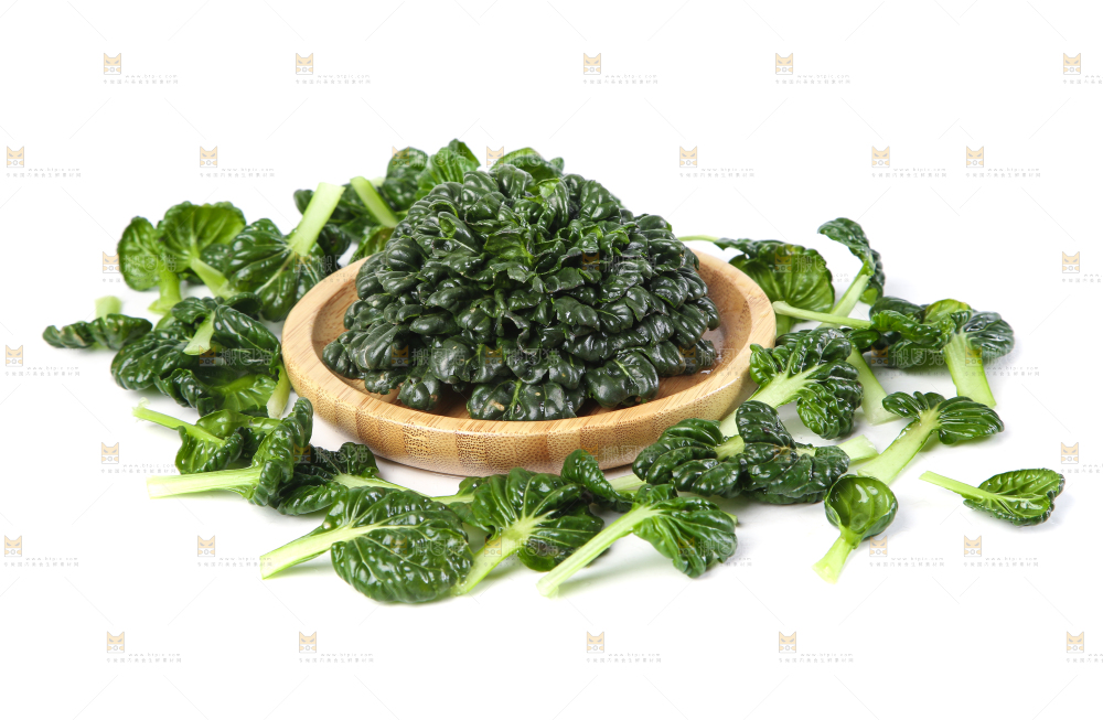 白底上的菊花菜