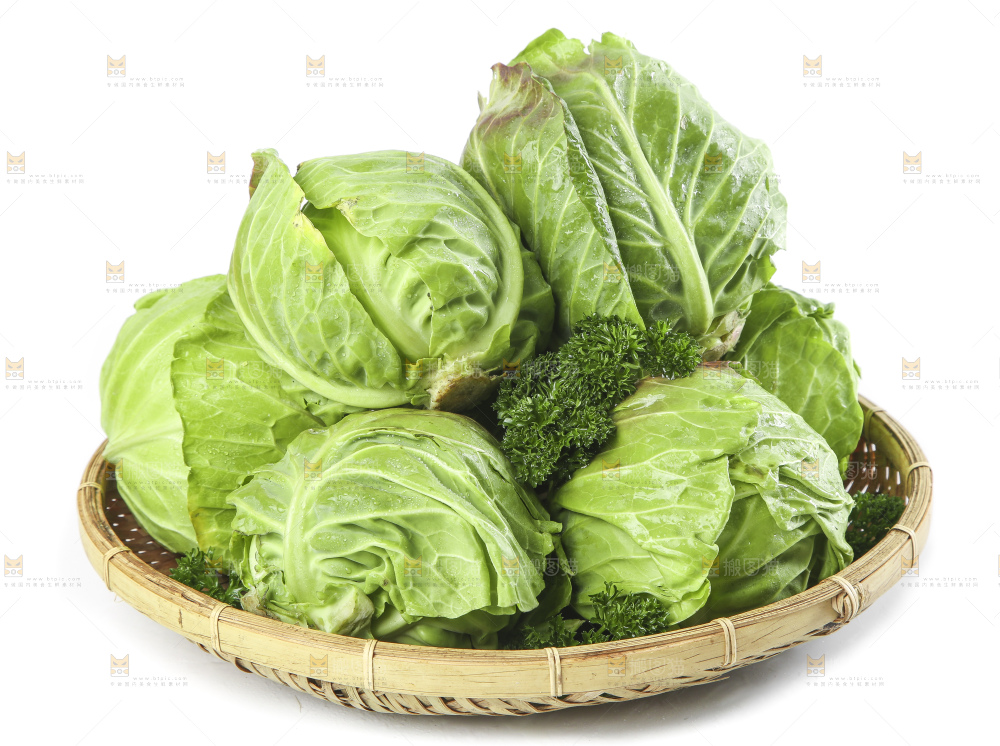 篮子里装着洋白菜
