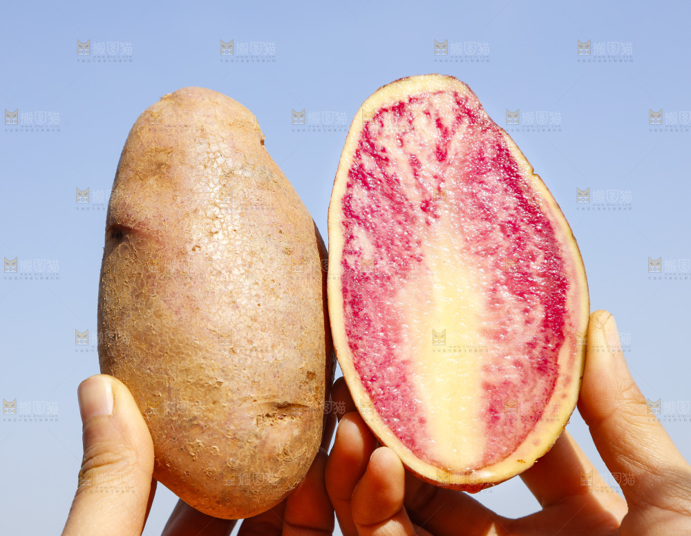手里拿着丽江七彩土豆