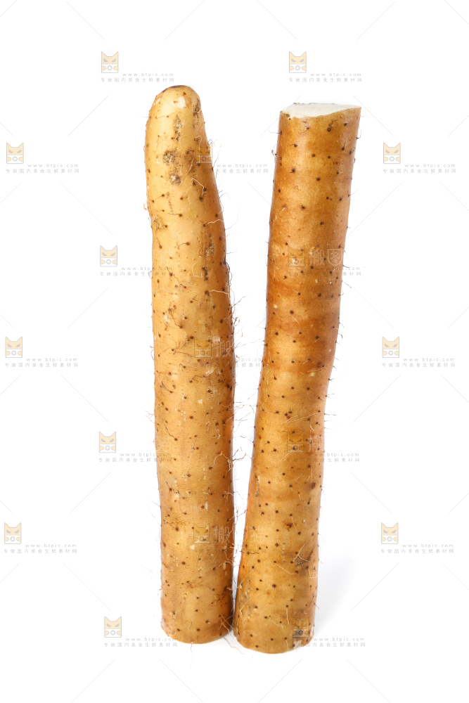 白底上的新鲜山药