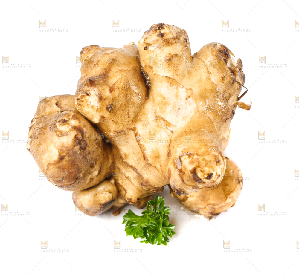 白底上的陕北高原洋姜