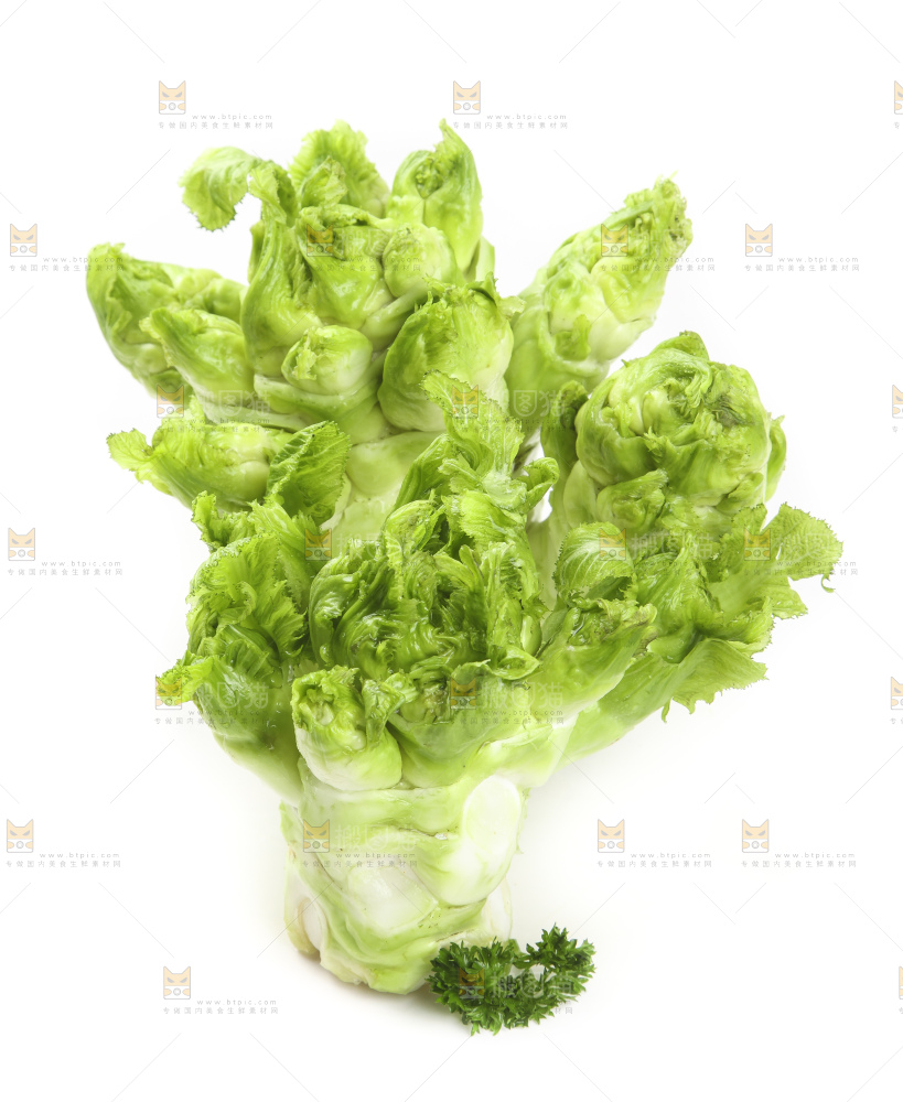 儿菜