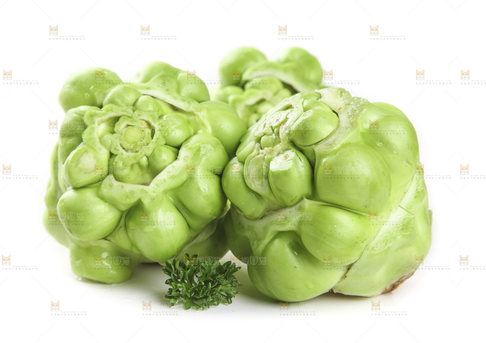 儿菜