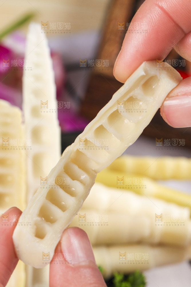 白格子底上的笋尖