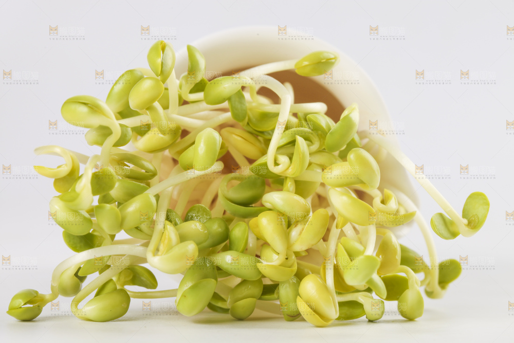 瓶子里放着黄豆芽