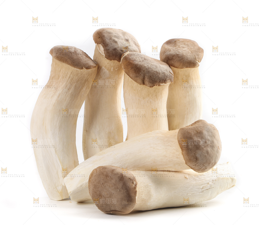 白底上放着大鸡腿菇