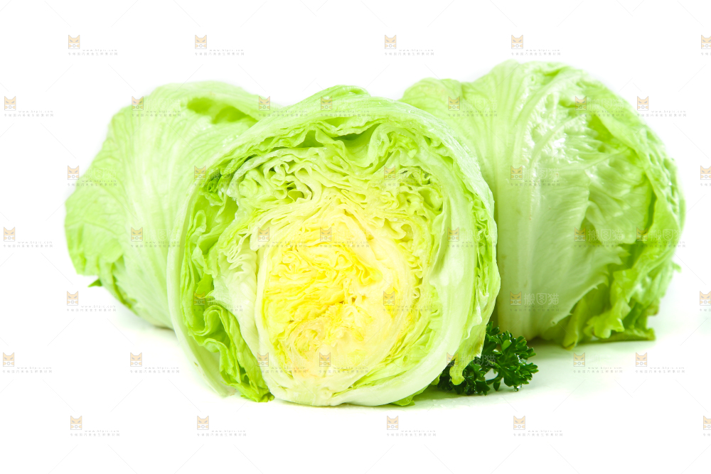 白底上的新鲜生菜