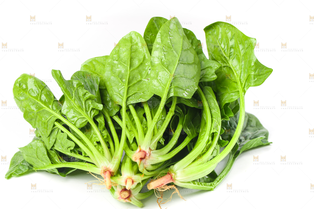 白底上放着菠菜