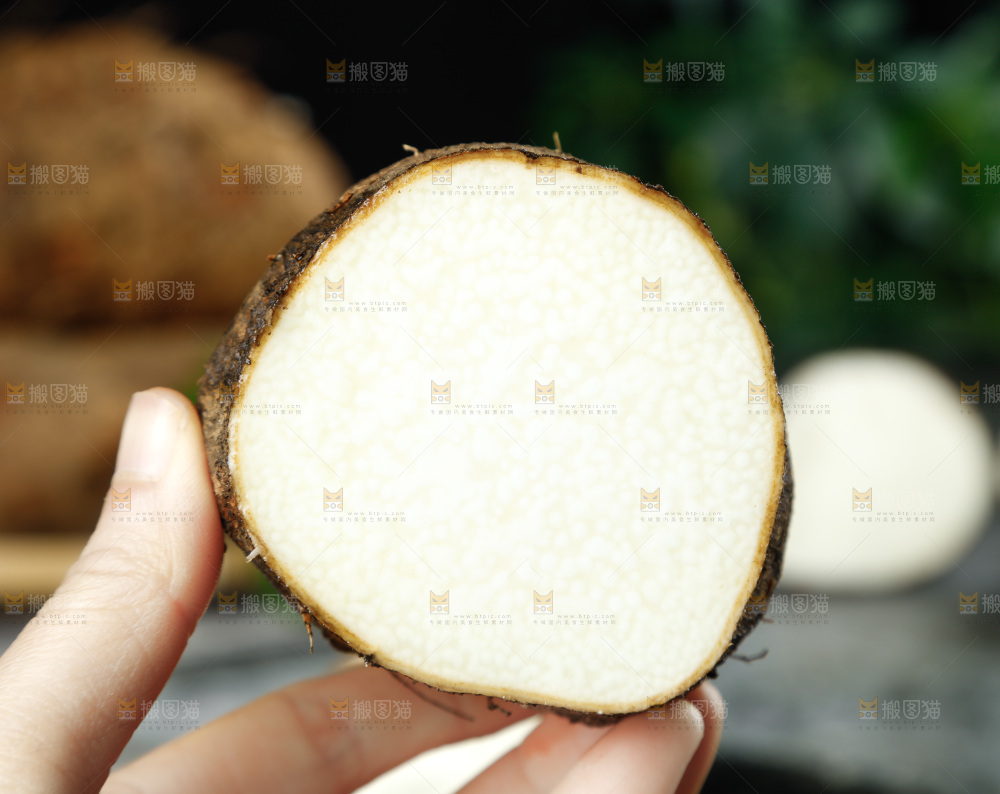 黑底上的金秤砣山药