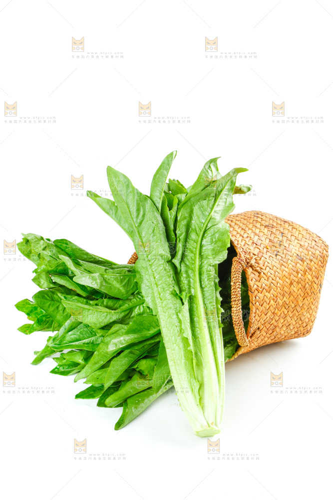 白底上放着油麦菜