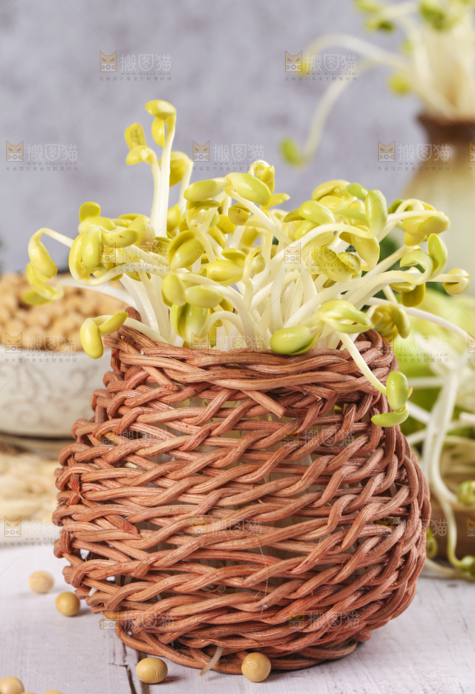 篮子里装着豆芽