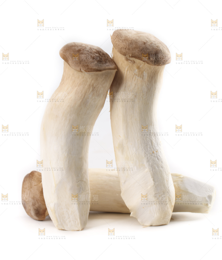 白底上放着大鸡腿菇