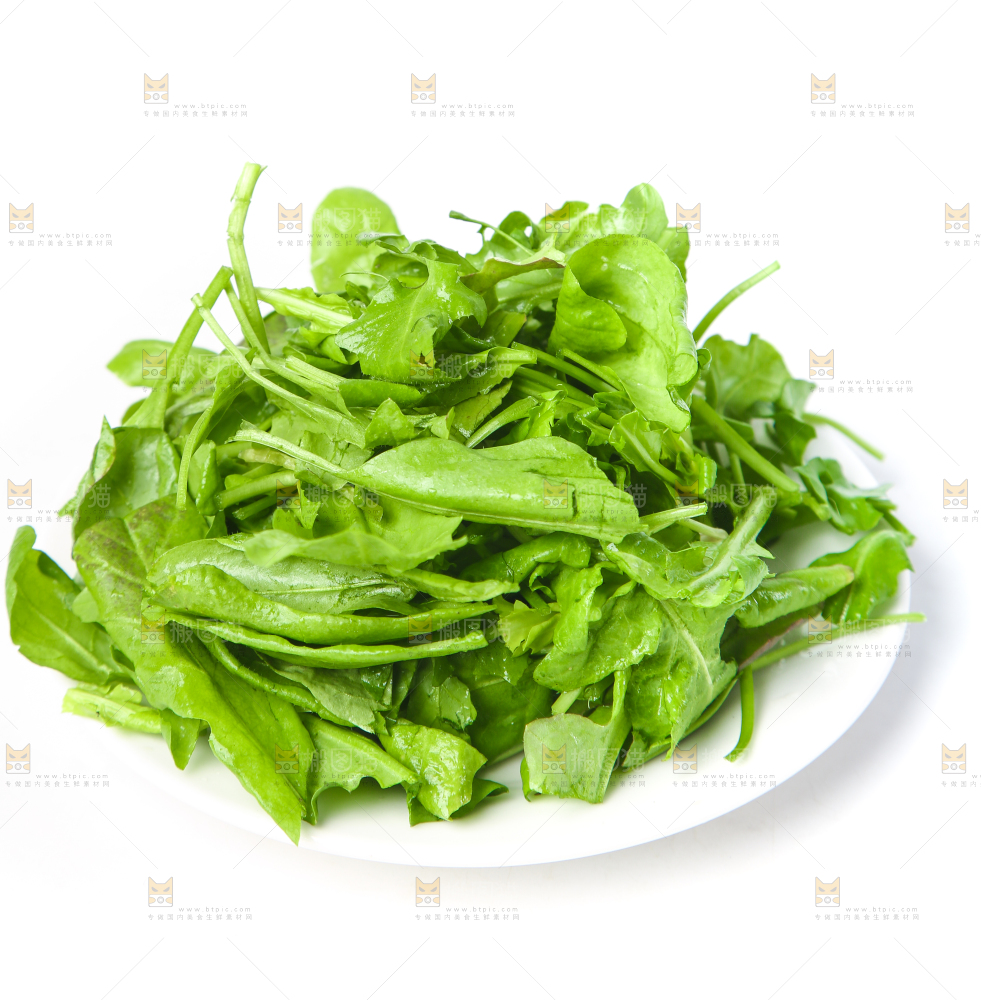 白底上的地菜