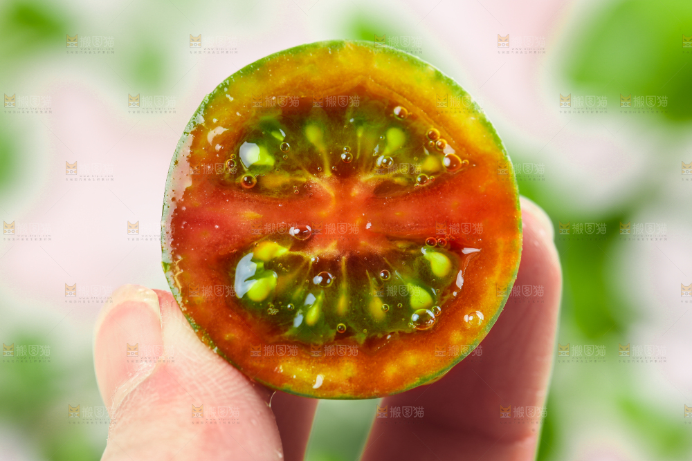 手拿迷彩小番茄