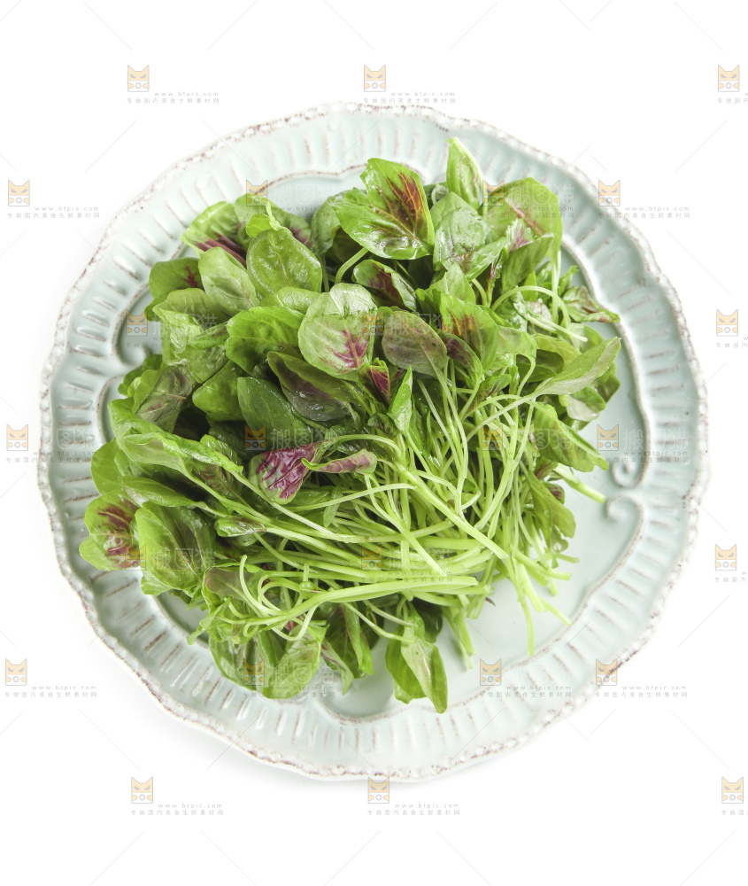 白底上放着一盘红苋菜