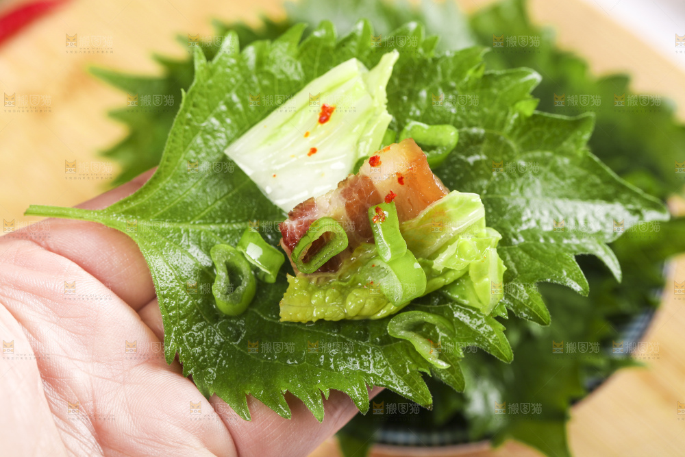 手拿紫苏叶
