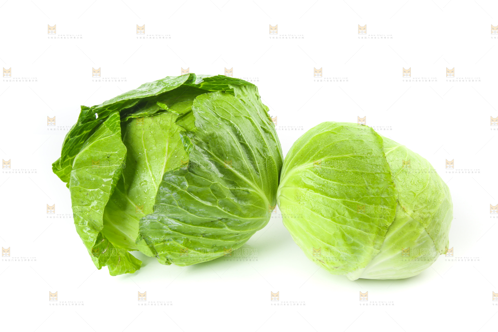 白底上的包心菜