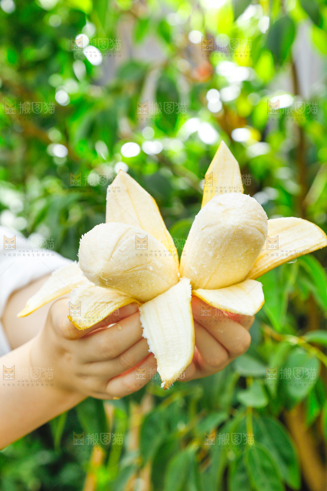 手拿剥皮的广西苹果蕉