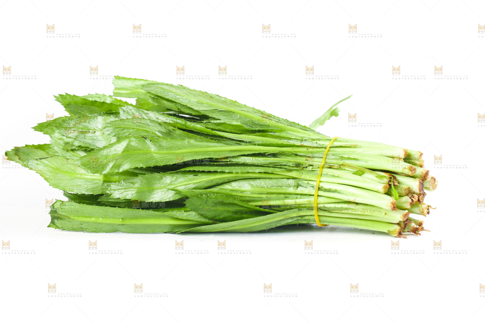 白底上的大香菜