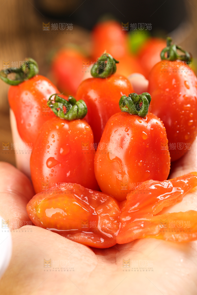 手里拿着丹东409小柿子