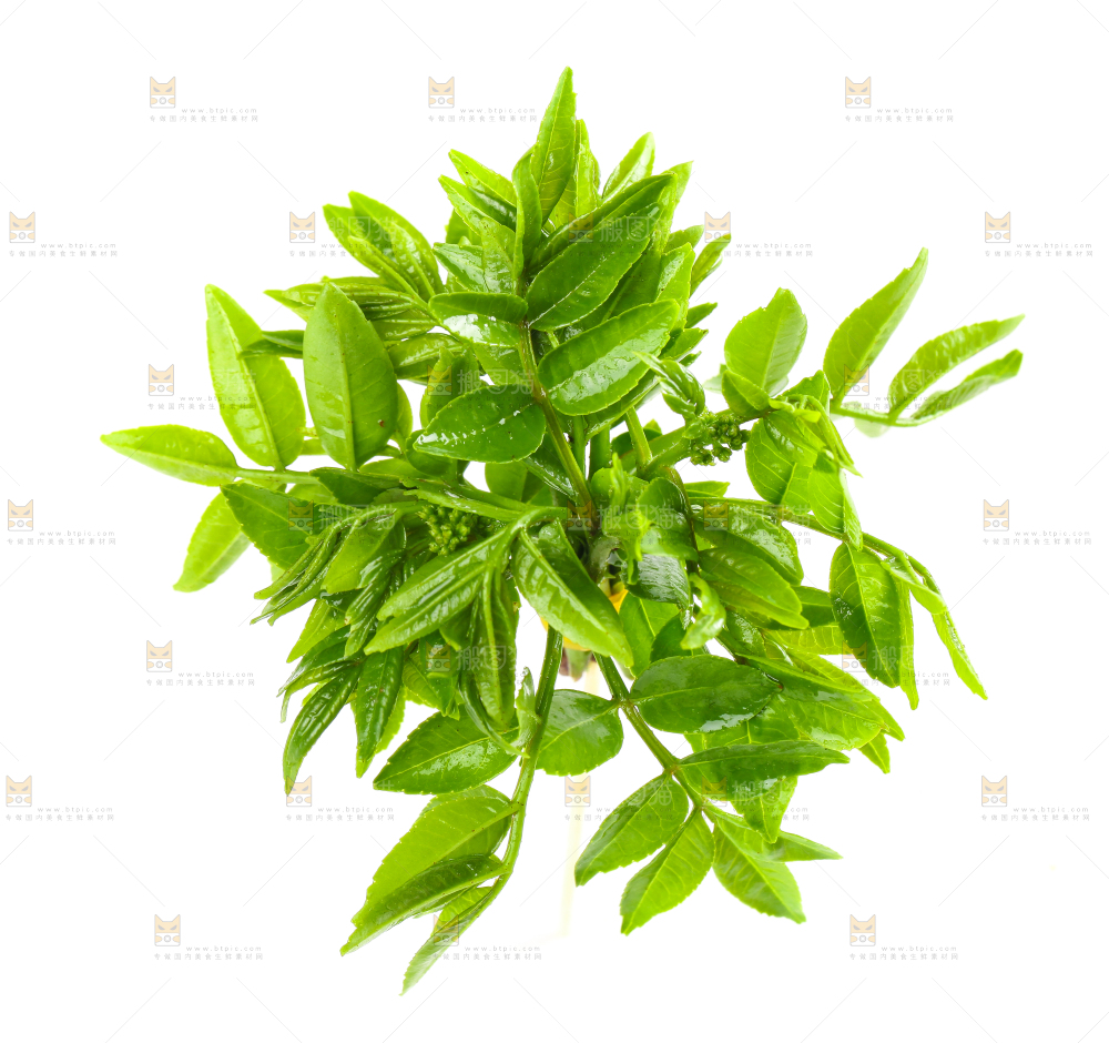 白底上放着花椒芽
