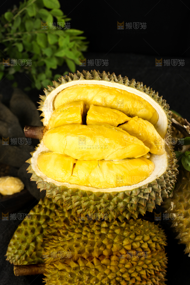 黑底上的进口甲仑榴莲