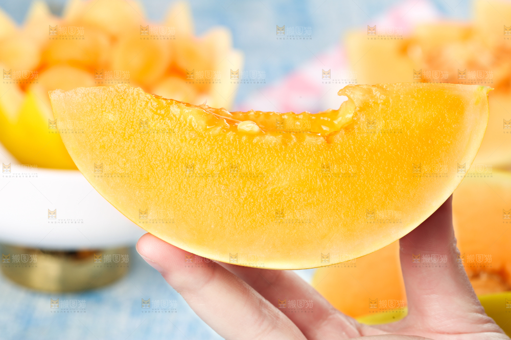 民勤蜜瓜