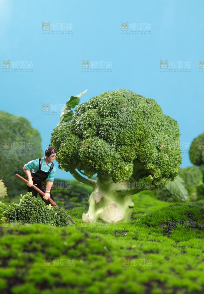 西兰花背景纹理