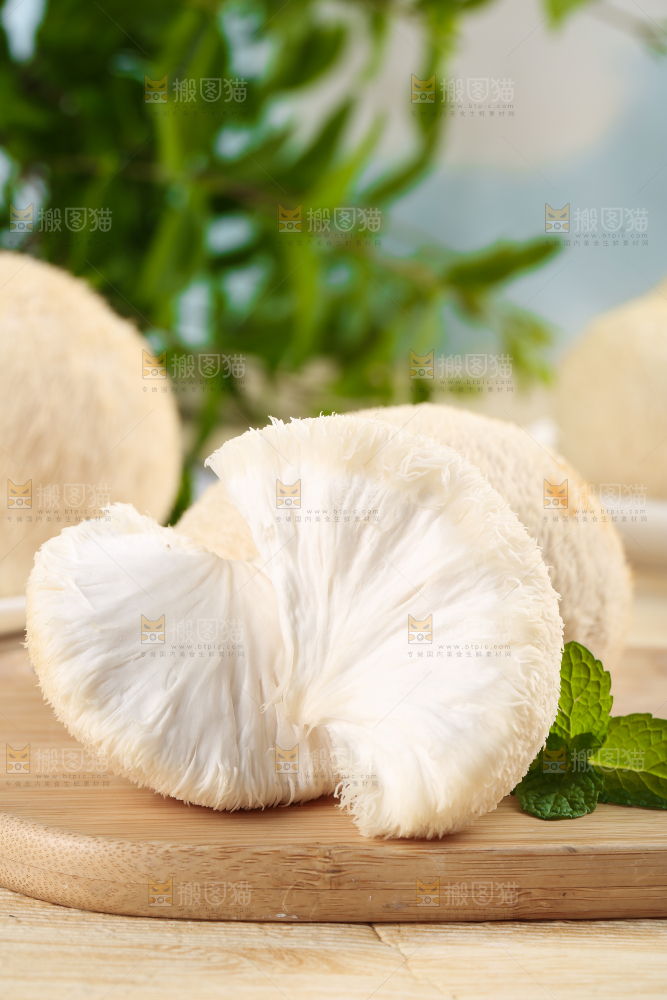木板上放着长白山猴头菇